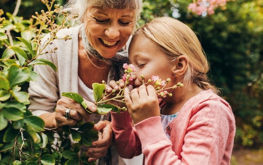 A kid sniffing flowers with her grandma